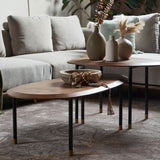 CELADON Coffee Table With Gold-Tipped Steel Legs