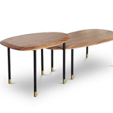 CELADON Coffee Table With Gold-Tipped Steel Legs