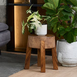 CARNE Solid Wood Coffee Table