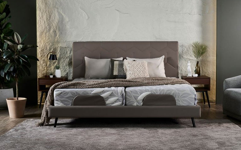 modern bedroom with a taupe upholstered bed frame, twin mattresses side by side, layered cushions and throws, flanked by wooden nightstands and indoor plants