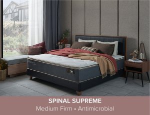 Trinity Bedframe + Spinal Supreme Mattress 12